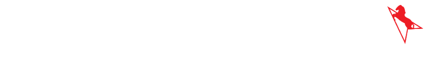 Areion Wealth